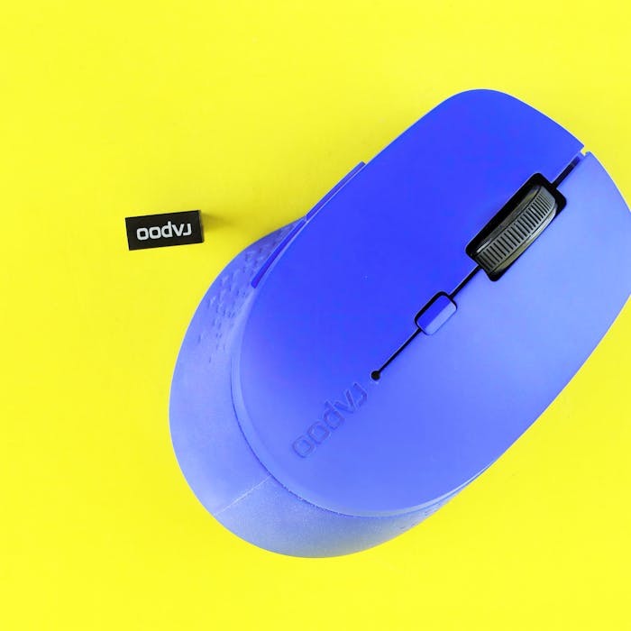 pexels-photo-33376219