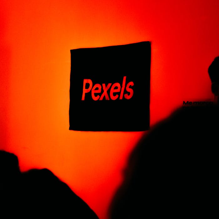 pexels-photo-33401240-1